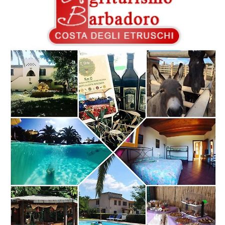 Agriturismo Barbadoro Сан Винченцо Екстериор снимка