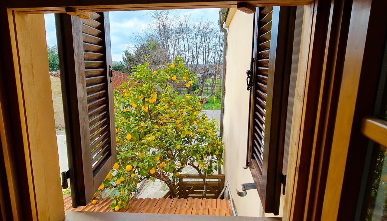 Agriturismo Barbadoro Сан Винченцо Екстериор снимка