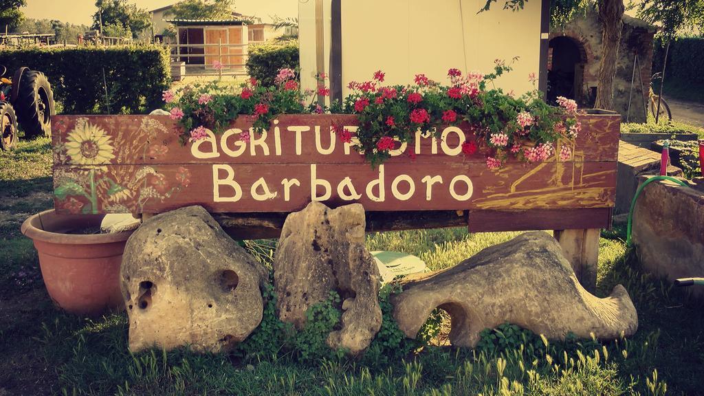 Agriturismo Barbadoro Сан Винченцо Стая снимка